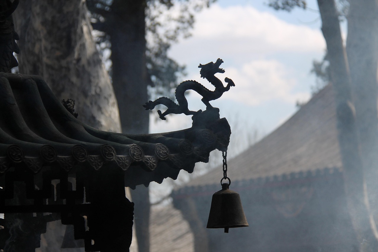 新澳门部一码精准公开与四不像正版 正版四不像_令人信服的证据;将引导我们走向何方、详细解释落实